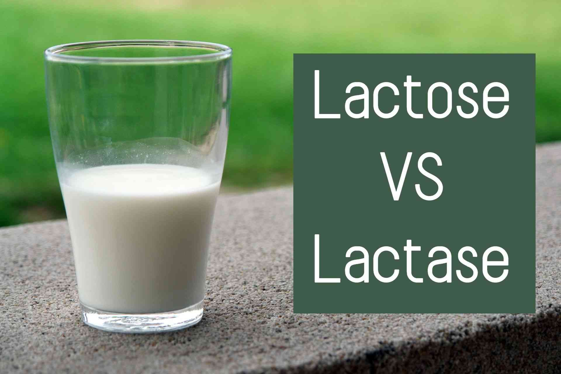 Lactose VS Lactase