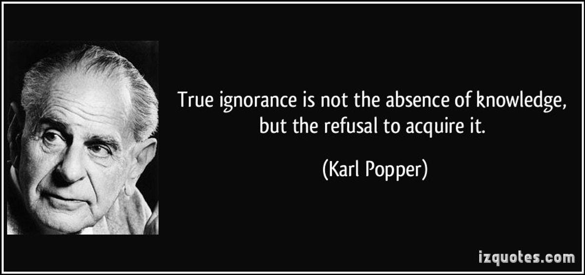 The Dichotomy of Ignorance: Navigating between Bliss and Obstacle