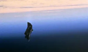 The Black Knight Satellite