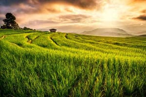 Role of Agriculture : Economy