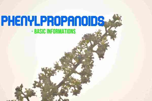 Phenylpropanoids