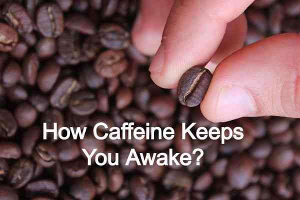 How Caffeine Keeps You Awake?